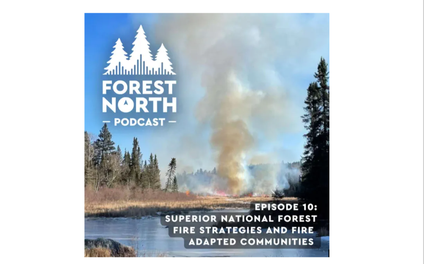 Forest North Podcast Episode: Superior National Forest Fire Strategies and Fire Adapted Communities